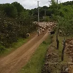 Monte Ferrarias Mesquita