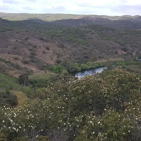 Monte Ferrarias Mesquita