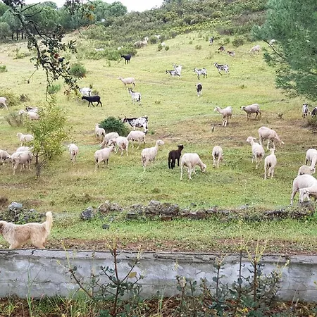 Semesterbostad Monte Ferrarias *