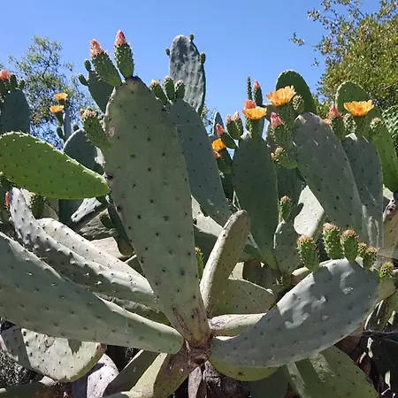 Monte Ferrarias Semesterbostad *