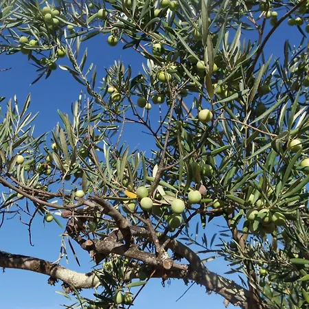 Semesterbostad Monte Ferrarias