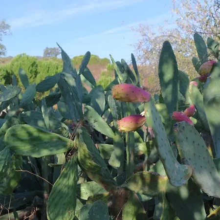 Monte Ferrarias Semesterbostad *