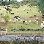 Casa de Férias Monte Ferrarias *