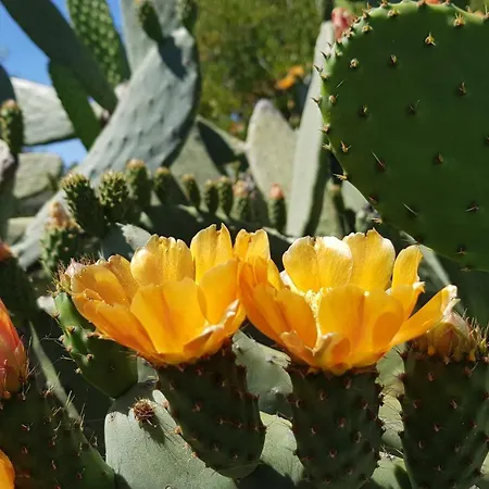 Monte Ferrarias Сasa de vacaciones