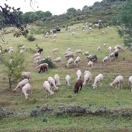 Monte Ferrarias Дом отдыха Mesquita