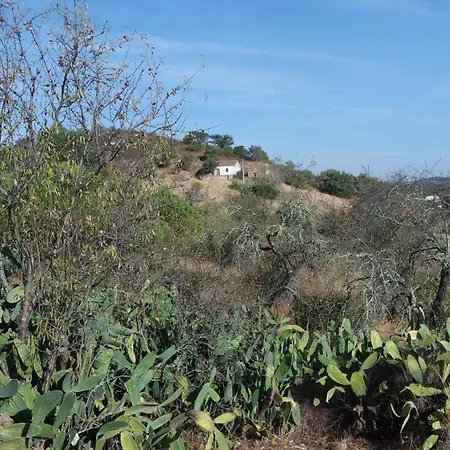 בית נופש Monte Ferrarias Mesquita