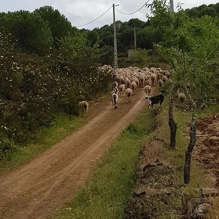 Monte Ferrarias Mesquita