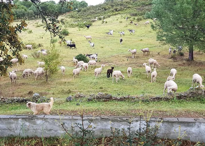 Сasa de vacaciones Monte Ferrarias *