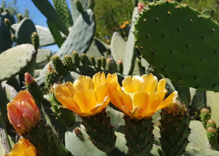 Monte Ferrarias Casa vacanze