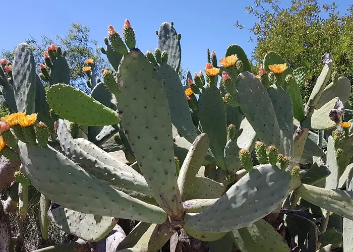 Monte Ferrarias Сasa de vacaciones *