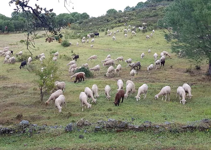 Monte Ferrarias Сasa de vacaciones Mesquita