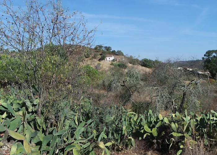 Сasa de vacaciones Monte Ferrarias Mesquita