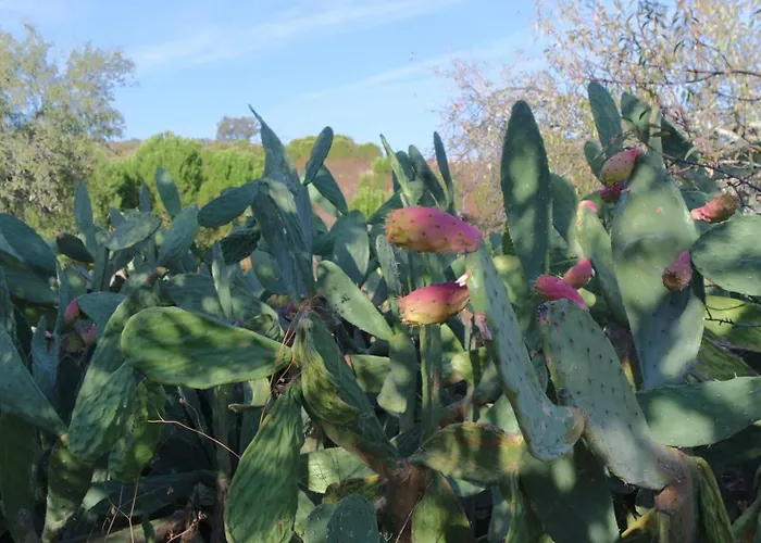 Monte Ferrarias Casa vacanze *