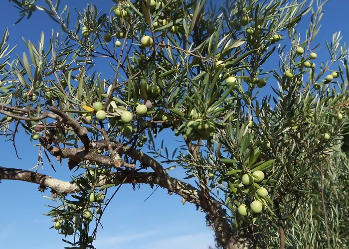 Casa vacanze Monte Ferrarias *